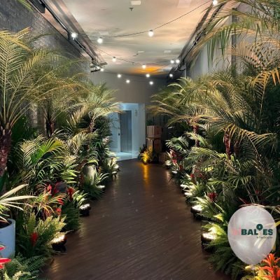 Dri balões 15 Dri balões 15